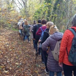 U gustišu doline Putrenjaka, ispod ulice Gajščak. [DF 2025.]