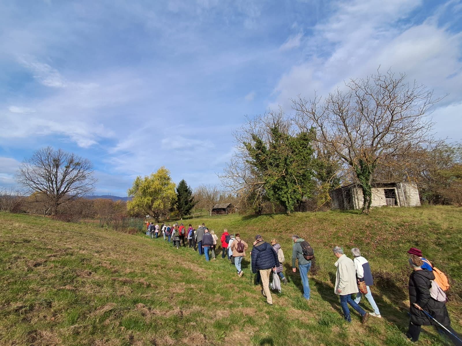 Stazom preko livada kod Gornjeg Bukovca. [DF 2025.]