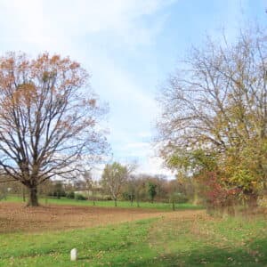 Panorama jednog od još građenjem netaknutih prostora Gornjeg Bukovca [VR 2025.]