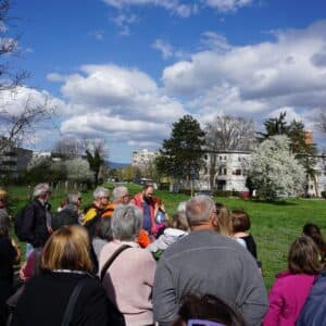 Na livadi pored Novih Kruga. [DF 2026.]