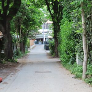 Prilazna ulica do kuća naselja Arko. [VR 2026.]